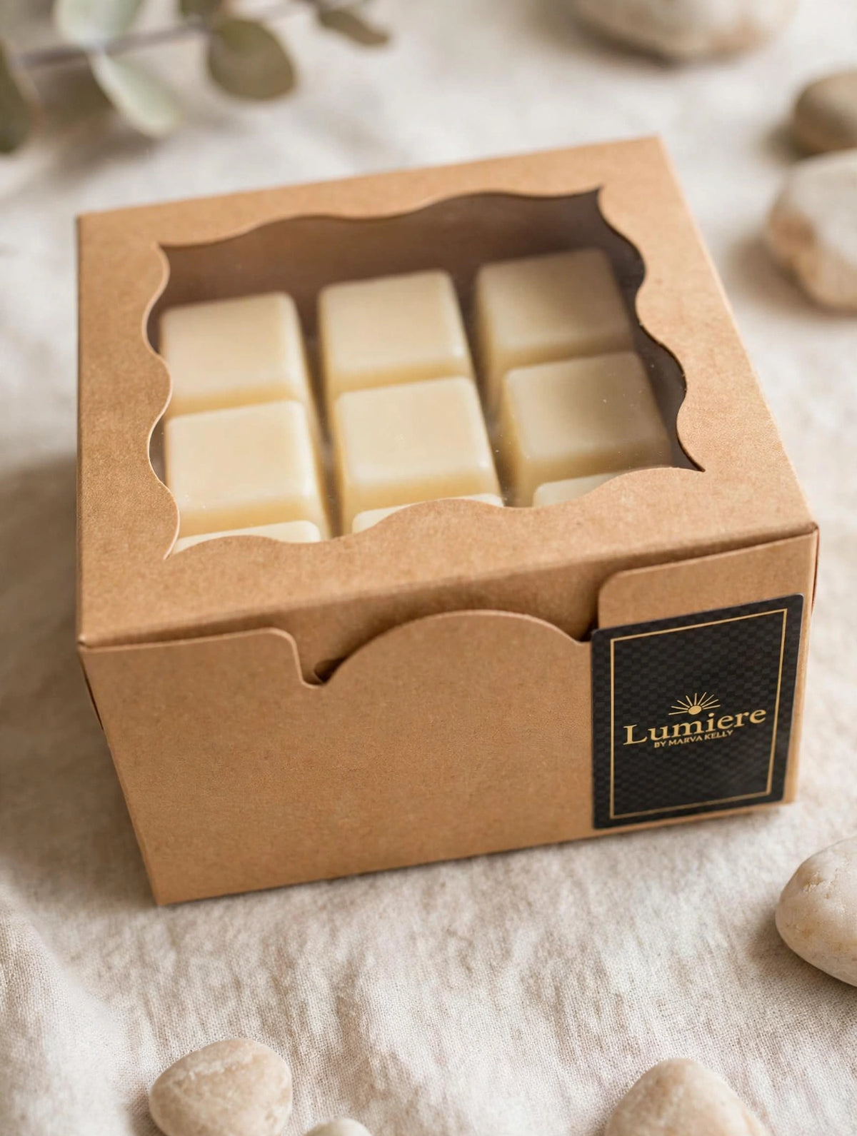 Wax Melts Box (10)