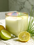 Picasso Oblong Jar with Lemongrass and Citrus Hue 550g