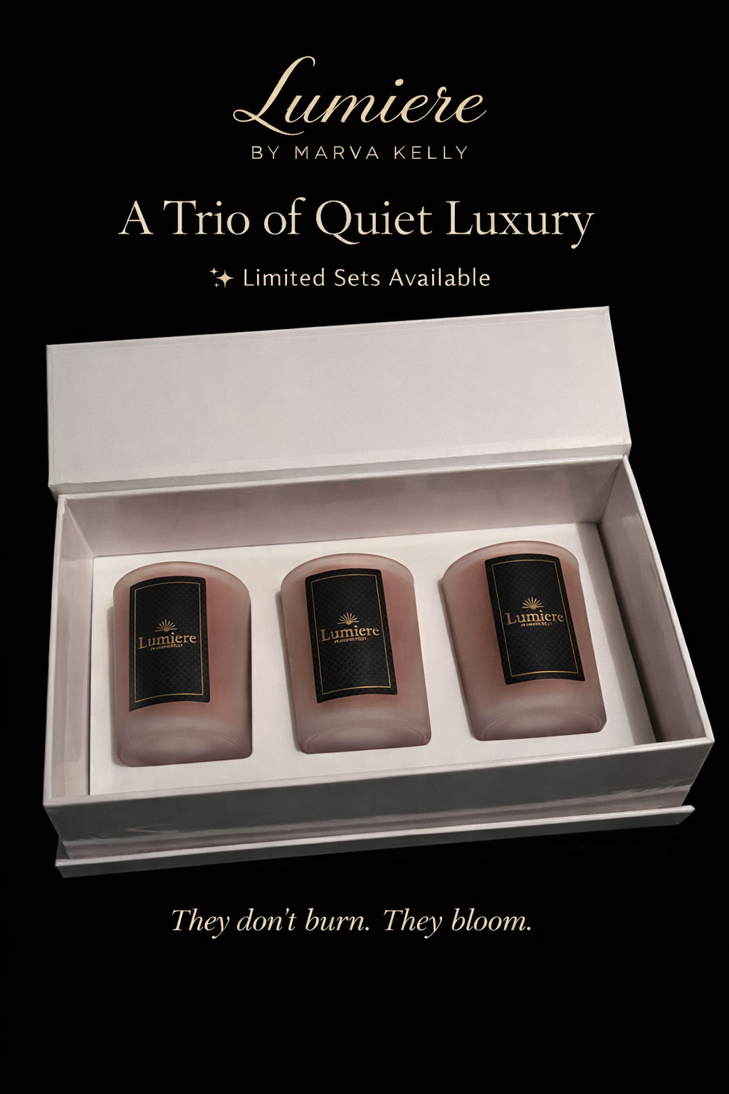 Triple Shot Glass Set Gift Box Filled